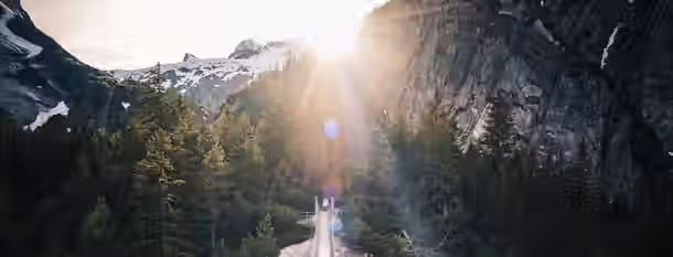Ascending to New Heights on the Path of Leadership A narrow bridge leads through a forested valley toward the bright horizon, symbolizing the hopeful journey of emerging leadership and self-growth.