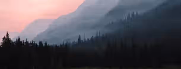 Ascending Peaks: The Path to Leadership Silent mountains shrouded in mist, a journey through shadows towards the light of dawn symbolizing the ascent to self-improvement.