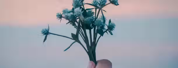 Blossoming Potential at Dawn A hand holding a bundle of small white flowers against a soft, pastel sky, symbolizing the blossoming of self-growth and leadership.
