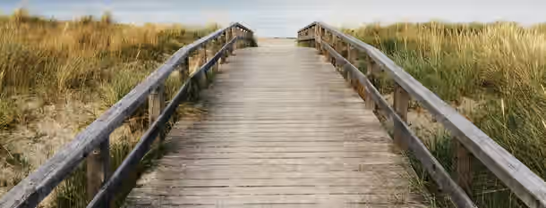 "Pathway to Leadership and Growth” A wooden path leading through tall grass toward a serene sea, symbolizing the emerging leader's journey to self-improvement and purpose.