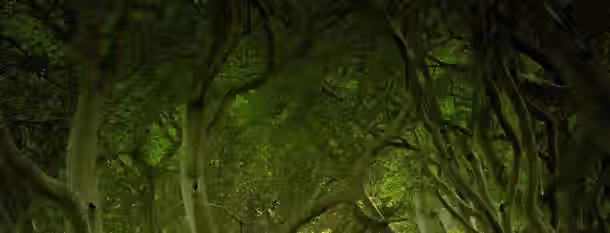 Path of Growth: A Leader's Evolution A dense canopy of intertwining branches representing an emerging leader's path of growth and self-discovery within a forest of potential.